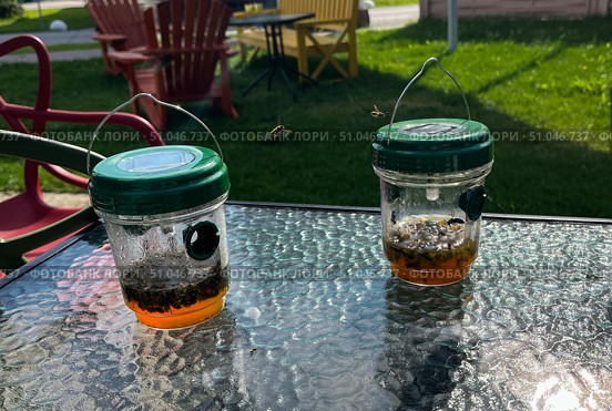 Безопасность. Ловушки для ос на столе. Safety. Traps for wasps on the table. Стоковое фото, фотограф Александр Рыбалка / Фотобанк Лори