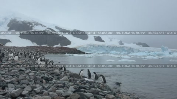 Big Iceberg in Antarctica Winter Scenery, Amazing Shape Ice Formation of Massive Large Enormous Blue Icebergs in Antarctic Peninsula Landscape Seascape with Ocean Sea Water. Стоковое видео, видеограф Vladimir / Фотобанк Лори