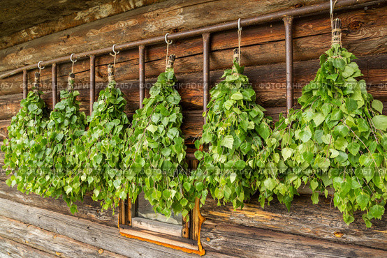 Birch brooms are hung for drying. Стоковое фото, фотограф Дмитрий Тищенко / Фотобанк Лори