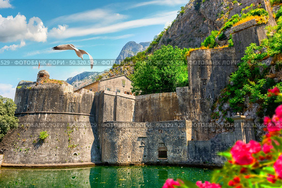 Bird over Bastion in Kotor at sunny summer day. Стоковое фото, агентство Ingram Publishing / Фотобанк Лори