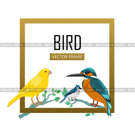Birds Frame Flat Design Vector Illustration. Birds frame vector. Colored wildlife concept in flat design. Word fauna illustration for nature concepts, posters, childrens book illustrating. Canary, kingfisher, blue jay seating on tree brunches. Стоковая иллюстрация, агентство Ingram Publishing / Фотобанк Лори