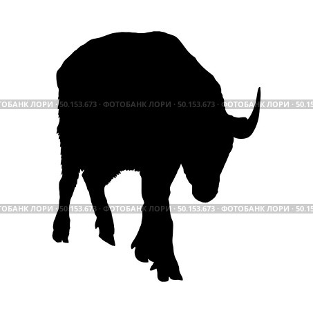 Bison Silhouette. Highly Detailed Smooth Design. Vector Illustration. Стоковая иллюстрация, агентство Ingram Publishing / Фотобанк Лори