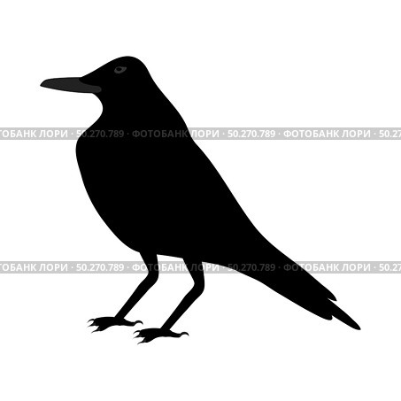 Black Crow Over White Background for Creating Halloween Designs.  Vector illustration. Стоковая иллюстрация, агентство Ingram Publishing / Фотобанк Лори