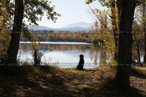 Black Labrador waiting by a lake filled with beautiful reflected autumnal colour. Стоковое фото, агентство Ingram Publishing / Фотобанк Лори