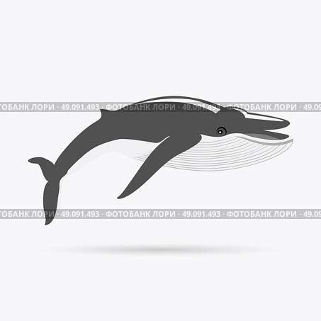 Black Whale Isolated on White Background. Black monochrome whale isolated on white background. Largest animal in world. Huge creating floating in the ocean or the sea. Big mammal whale with tail and fin living in water. Vector illustration. Стоковая иллюстрация, агентство Ingram Publishing / Фотобанк Лори