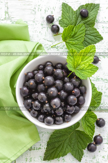 Blackcurrant. Стоковое фото, агентство Ingram Publishing / Фотобанк Лори