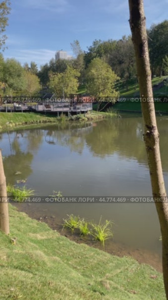Благоустроенный парк у прудов на Чертановской улице. Площадка - переход между прудами. Город Москва, Южное Чертаново, Россия. Стоковое видео, видеограф Щеголева Ольга / Фотобанк Лори