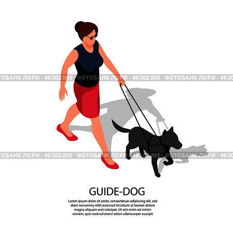 Blind woman in sun glasses walks with specially trained guide dog isolated isometric composition Lettering vector illustration. Стоковая иллюстрация, агентство Ingram Publishing / Фотобанк Лори