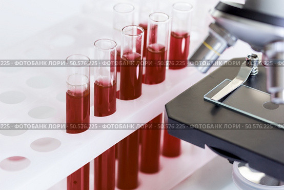 blood in glass tubes on background of microscope. Стоковое фото, агентство Ingram Publishing / Фотобанк Лори