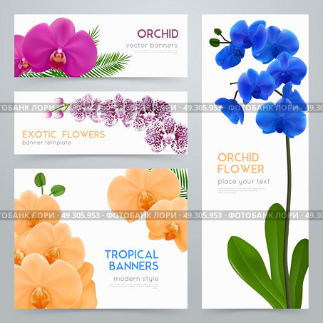Blooming Orchids Realistic banners Set. Blooming orchid plants 4 tropical botanic banners collection with exotic colorful flowers realistic isolated vector illustration  . Стоковая иллюстрация, агентство Ingram Publishing / Фотобанк Лори