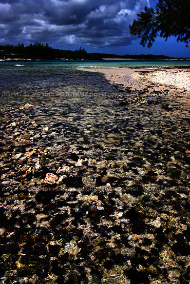 blue bay foam footstep indian ocean some stone in the island of deus cocos in mauritius . Стоковое фото, агентство Ingram Publishing / Фотобанк Лори