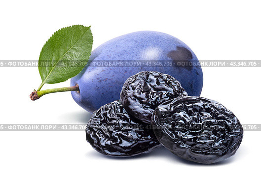 Blue fresh and dry plums isolated on white background. Стоковое фото, фотограф Катерина Ковалева / Фотобанк Лори