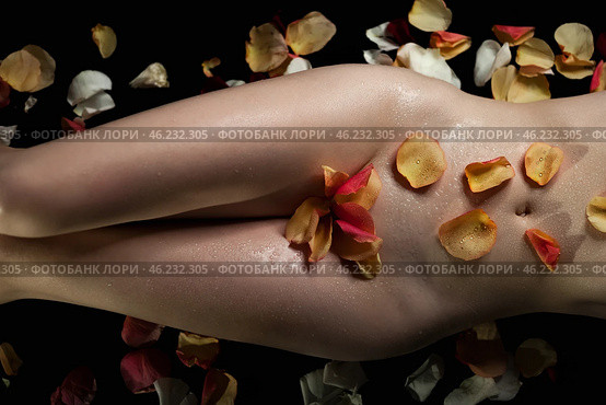 Body Art Adorned With Petals Invites Serenity in a Salon Relaxation Experience. Стоковое фото, фотограф Aleksandr Golubev / Фотобанк Лори