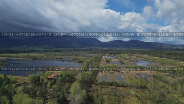 Bog lake landscape with forest. Стоковое видео, видеограф Михаил Коханчиков / Фотобанк Лори