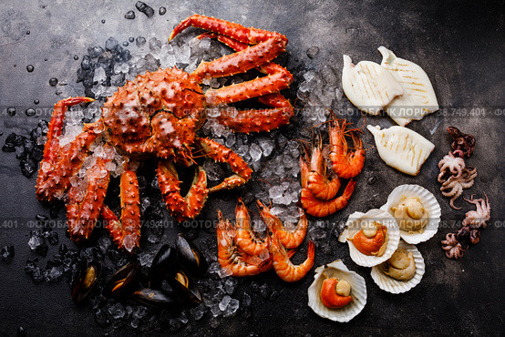 Boiled Seafood on ice - King Crab, Prawn Shrimp, Mussels Clams, Scallops in shells, Octopus mini, Squid on Grill on dark background. Стоковое фото, фотограф Лисовская Наталья / Фотобанк Лори
