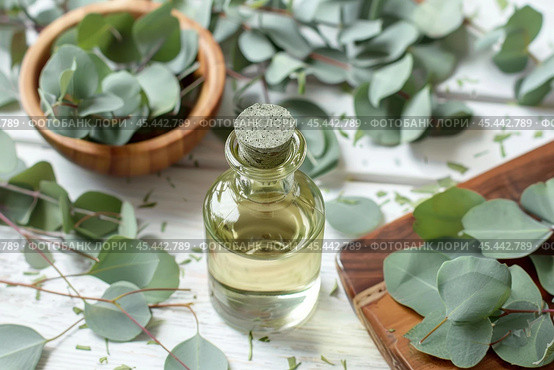 Bottle of eucalyptus essential oil surrounded by eucalyptus leaves on white background. Стоковое AI-изображение, AI-художник Иван Рябоконь / Фотобанк Лори