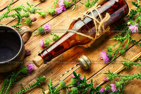 Bottle of healing herbal tincture.Milk thistle or Silybum marianum in in herbal medicine. Thistle in herbal medicine. Стоковое фото, агентство Ingram Publishing / Фотобанк Лори