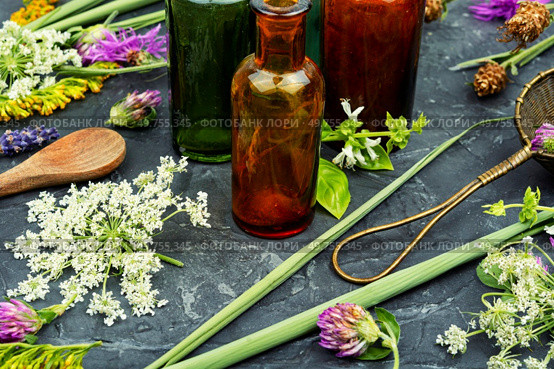 Bottles of tincture or potion and dried healthy herbs, medicinal herbs. Healing mixtures from herbs. Стоковое фото, агентство Ingram Publishing / Фотобанк Лори