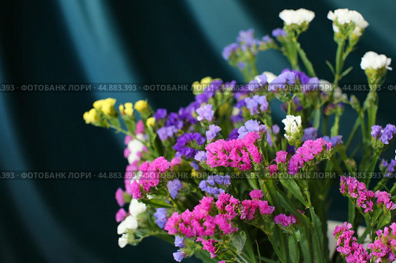 Bouquet of multicolored flowers in a vase (Limonium sinuatum, Statice sinuata) on a green background. Стоковое фото, фотограф Ирина Вершинская / Фотобанк Лори