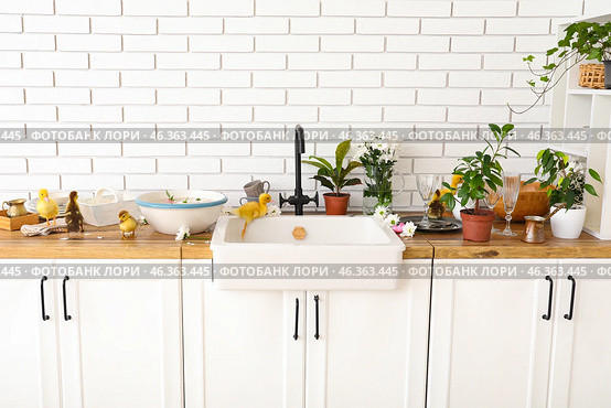 Bowl with water and cute ducklings in kitchen. Стоковое фото, фотограф Pixel_shot / Фотобанк Лори