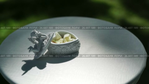 Box for wedding rings. Стоковое видео, видеограф Алексей / Фотобанк Лори
