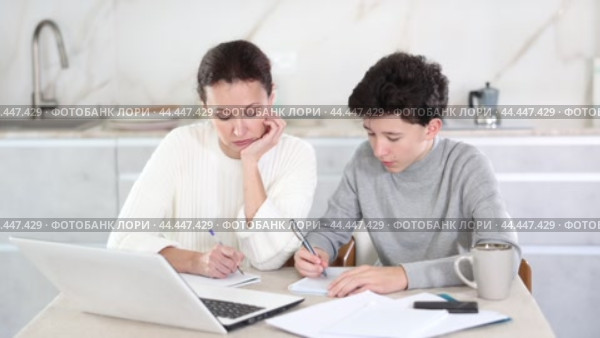 Boy and mother studiyng and learning together using laptop. Boy and mother studiyng together. Стоковое видео, видеограф Яков Филимонов / Фотобанк Лори
