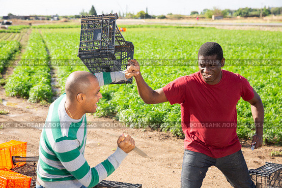 Brawl of farm workers with cold weapon on field. Стоковое фото, фотограф Яков Филимонов / Фотобанк Лори