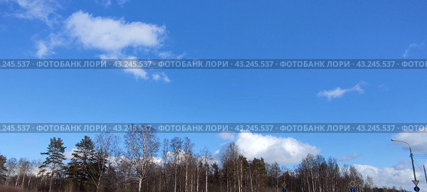 Bright sky above the trees. Стоковое фото, фотограф Andrew_Swarga / Фотобанк Лори