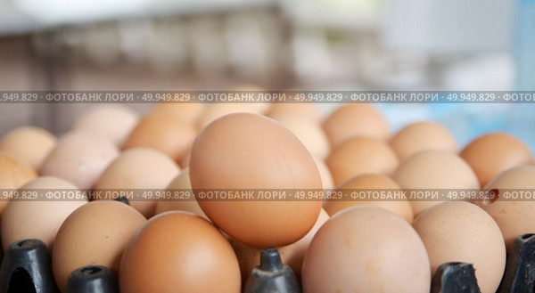 Brown eggs in a Wicker basket. Стоковое фото, агентство Ingram Publishing / Фотобанк Лори