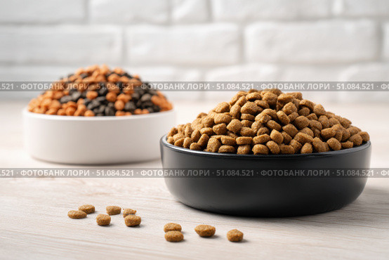 Brown Kibble Pet Food in Two White and Black Bowls. Lot of Dry Granules of Crunchy Dog or Cat Food. Animal Feed Pile. Pet Shop, Delivery. Healthy Treat. Feline Feeding. Domestic Animals Food Banner. Стоковое AI-изображение, AI-художник Марина Демидюк / Фотобанк Лори