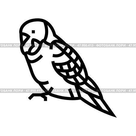 budgerigar parakeet parrot bird line icon vector illustration. Стоковая иллюстрация, иллюстратор Vectorwin / Фотобанк Лори