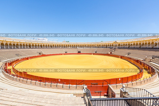 bullfight arena, plaza de toros, Sevilla, Spain. Стоковое фото, агентство Ingram Publishing / Фотобанк Лори