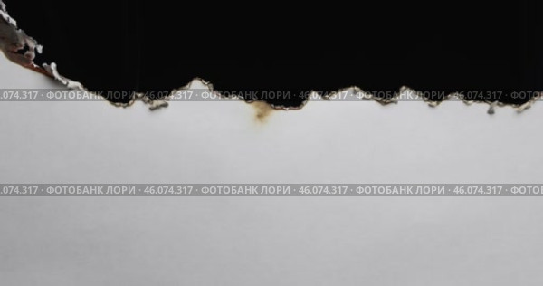 Бумага начинает гореть, лист сгорает. Бумага горит, дымится и превращается в пепел. Горящий лист на черном фоне. Стоковое видео, видеограф Александр Собко / Фотобанк Лори