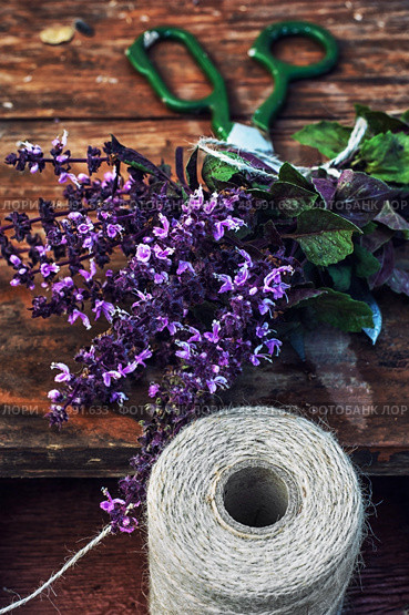 bunch of fresh blooming fragrant lavender on wooden background. Стоковое фото, агентство Ingram Publishing / Фотобанк Лори