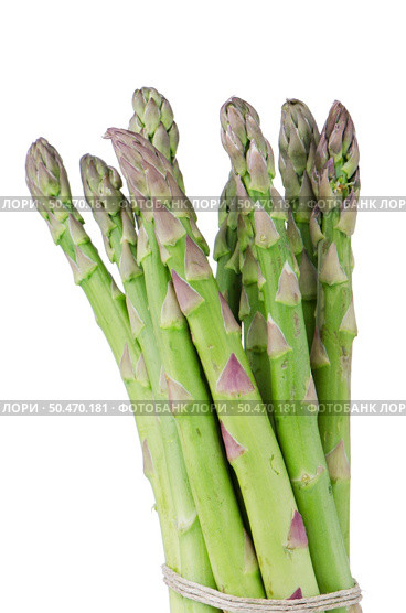 Bunch of green asparagus, in a vertical position, isolated on white background. Стоковое фото, агентство Ingram Publishing / Фотобанк Лори
