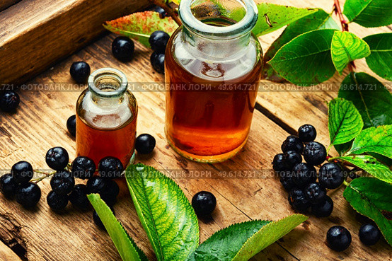 Bunches of fresh chokeberry. Healthy drink. Herbal medicine and homeopathy. Chokeberry in herbal medicine. Стоковое фото, агентство Ingram Publishing / Фотобанк Лори
