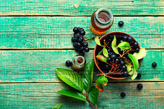 Bunches of fresh chokeberry. Herbal medicine and homeopathy. Chokeberry in herbal medicine,aronia fruit. Стоковое фото, агентство Ingram Publishing / Фотобанк Лори