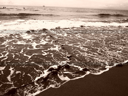 Buoys on a rope near sea water. The buoys are bright pink restraints to alert people to the depth of the water. Sepia. Delimiting a place on a sandy beach between hotels. Waves with bubbles. Стоковое фото, фотограф Юлия Петровская / Фотобанк Лори