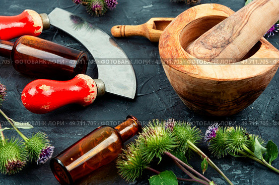 Burdock plant with flowers, herbal medicine. Medicinal plant burdock. Стоковое фото, агентство Ingram Publishing / Фотобанк Лори
