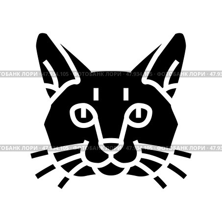 burmese cat cute pet glyph icon vector illustration. Стоковая иллюстрация, иллюстратор Vectorwin / Фотобанк Лори