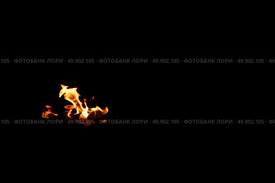 Burning Fire Blazes Brightly on Small Pieces of Wood Against a Dark Background. Стоковое фото, фотограф Aleksandr Golubev / Фотобанк Лори