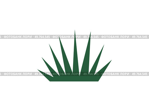Bush vector illustration. The bush metaphor resonates with tenacity and growth found in nature Blooming foliage in garden creates visually captivating tapestry greenery The bush concept encapsulates. Bush. The botanical allure herb-laden thicket showcases natures diversity. Стоковая иллюстрация, агентство Ingram Publishing / Фотобанк Лори