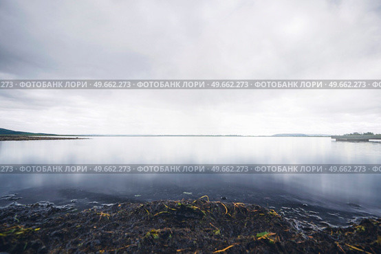 Calm lake in dull cloudy weather in the fall with seaweed on the shore. Стоковое фото, агентство Ingram Publishing / Фотобанк Лори