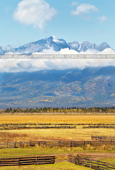 Calm rural autumn landscape with yellowed fields against the background of mountain snow-capped peaks with low clouds on a sunny day. Buryatia, Eastern Sayan Mountains, Baikal region, Tunka Valley. Стоковое фото, фотограф Виктория Катьянова / Фотобанк Лори