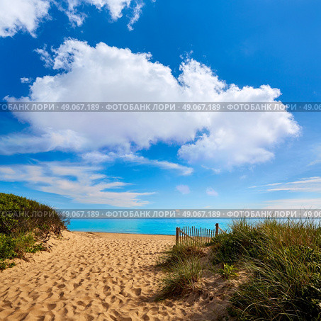 Cape Cod Herring Cove Beach in Massachusetts USA. Стоковое фото, агентство Ingram Publishing / Фотобанк Лори