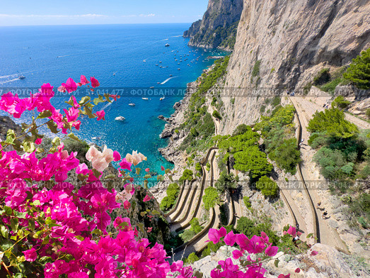Capri island, Italy. Стоковое фото, фотограф Anastasy Yarmolovich / Фотобанк Лори
