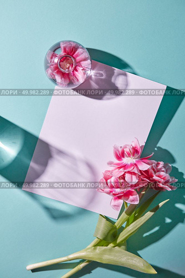 Cardboard decorations with fresh tulips and a vase with a flower with shadows on a blue background with copy space, flat lay. Greeting card concept. White cardboard decorations with a tulip on a blue background. Layout for greeting card. Стоковое фото, агентство Ingram Publishing / Фотобанк Лори
