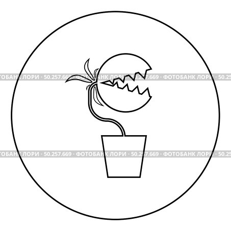 Carnivorous plant Flytrap Monster with teeths in pot icon in circle round outline black color vector illustration flat style simple image. Carnivorous plant Flytrap Monster with teeths in pot icon in circle round outline black color vector illustration flat style image. Стоковая иллюстрация, агентство Ingram Publishing / Фотобанк Лори