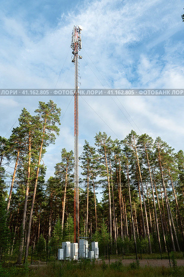 Cellular tower in a wooded area on the edge of the forest against the background of the evening sky. Стоковое фото, фотограф Оксана Медведева / Фотобанк Лори