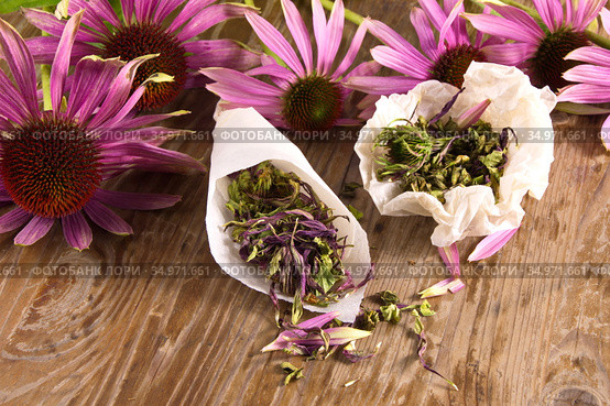 Чайный напиток  с эхинацеей пурпурной (Echinacea purpurea) сушеной,применяется в народной медицине как противовирусное. Стоковое фото, фотограф Наталия Кузнецова / Фотобанк Лори